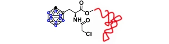 The structure of the translation initiation factor containing L-Carboranylalanine The structure of the translation initiation factor containing L-Carboranylalanine